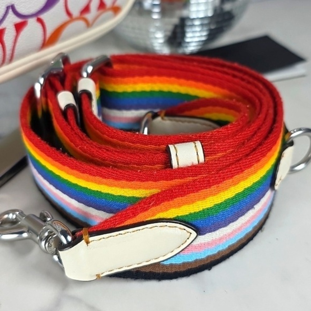 COACH TERI HAND SHOULDER SMALL BAG SIGNATURE RAINBOW CANVAS MULTI SUMMER PURSEβ - Picture 12 of 16